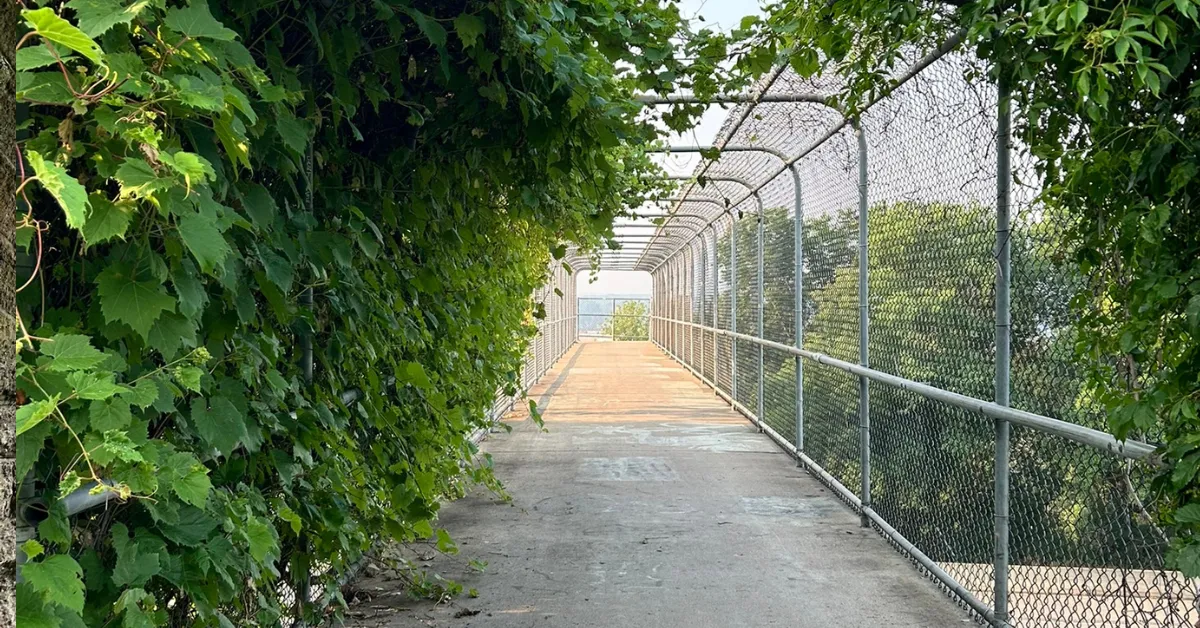 Solo Travel Builds Your Own Special Kind Of Freedom