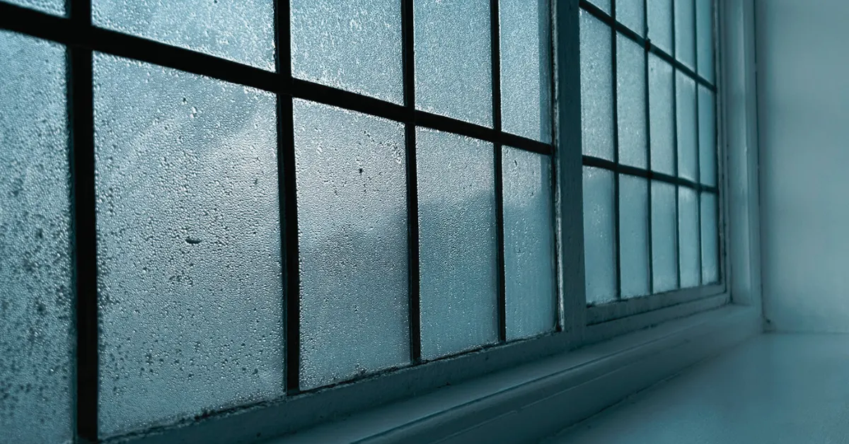 Finding a Daily Routine That Actually Works for Me